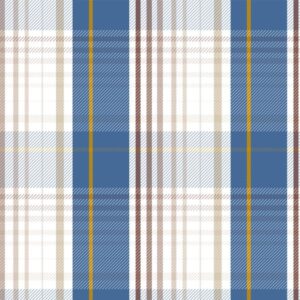 Country Skies and Nutmeg-Blue Twill